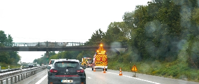 Understanding Georgia's Dog Bite Laws