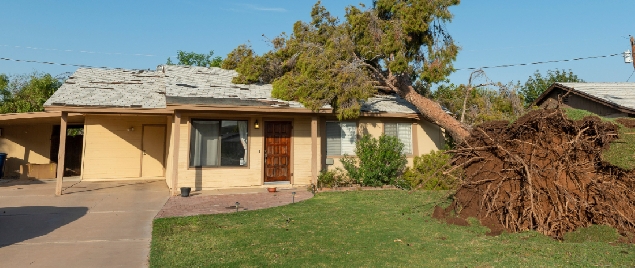 My Neighbor's Tree Fell on My House: How to Prove Negligence in Texas Property Disputes