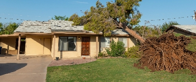 My Neighbor's Tree Fell on My House: How to Prove Negligence in Texas Property Disputes