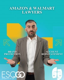 Helping online sellers grow and protect their business