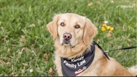 Thoughtful lawyering with compassion and empathy. Everyone suffers during family separation.